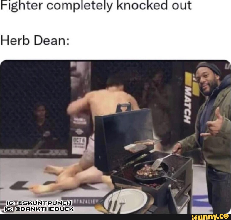 Ignter completely knocked out Herb Dean iFunny