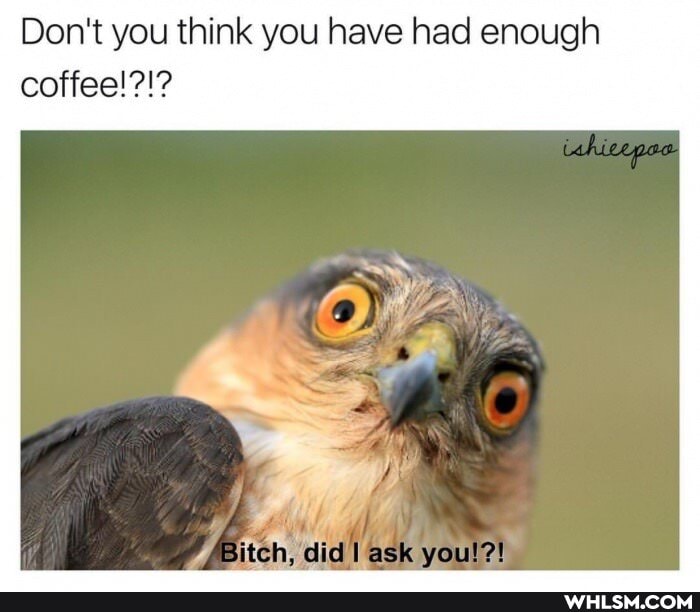 Don't you think you have had enough
coffee!?!?
itch, di dI
ask