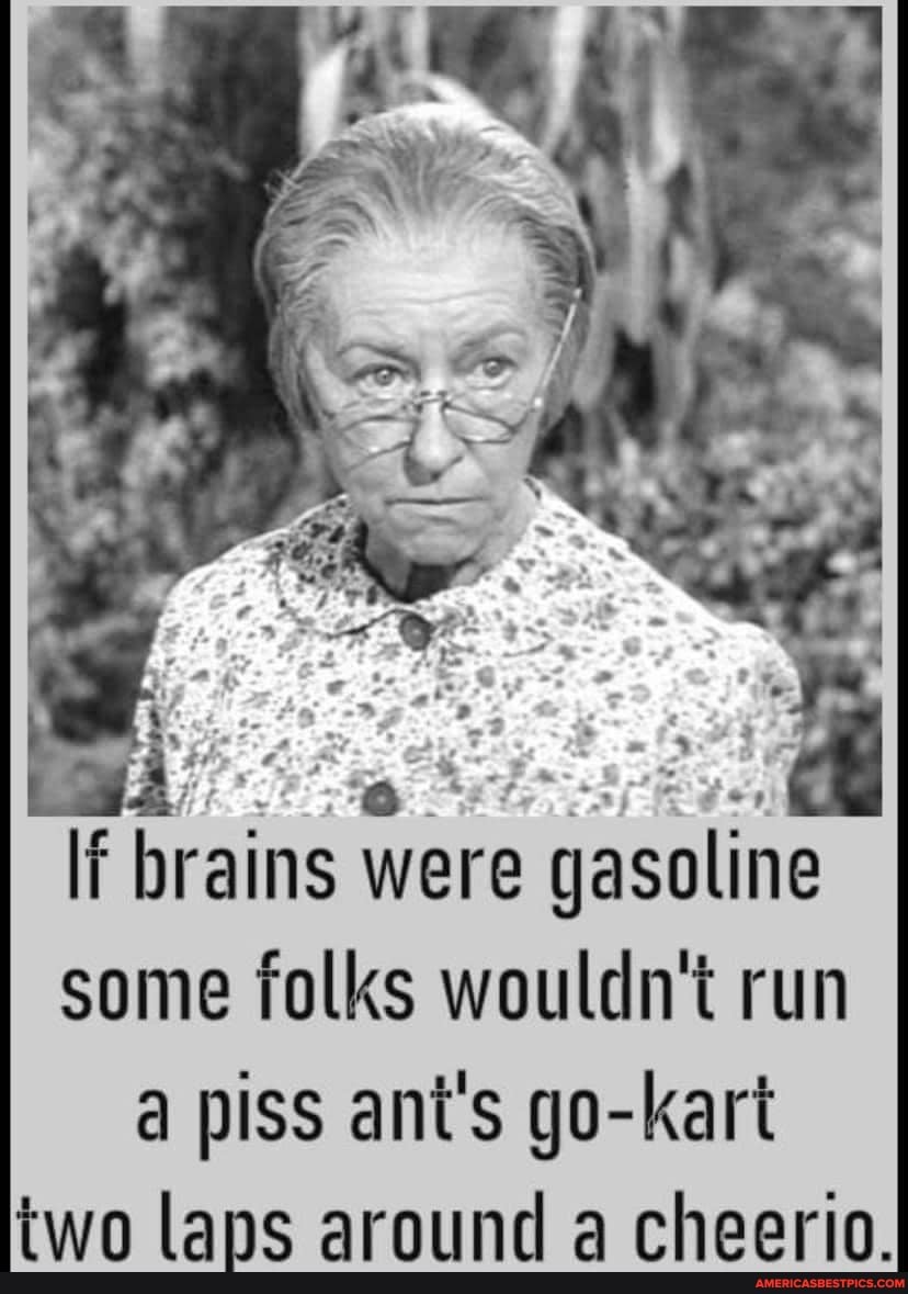 If brains were gasoline some folks wouldn't run a piss ant's go-kart twa lane arniund chaorin