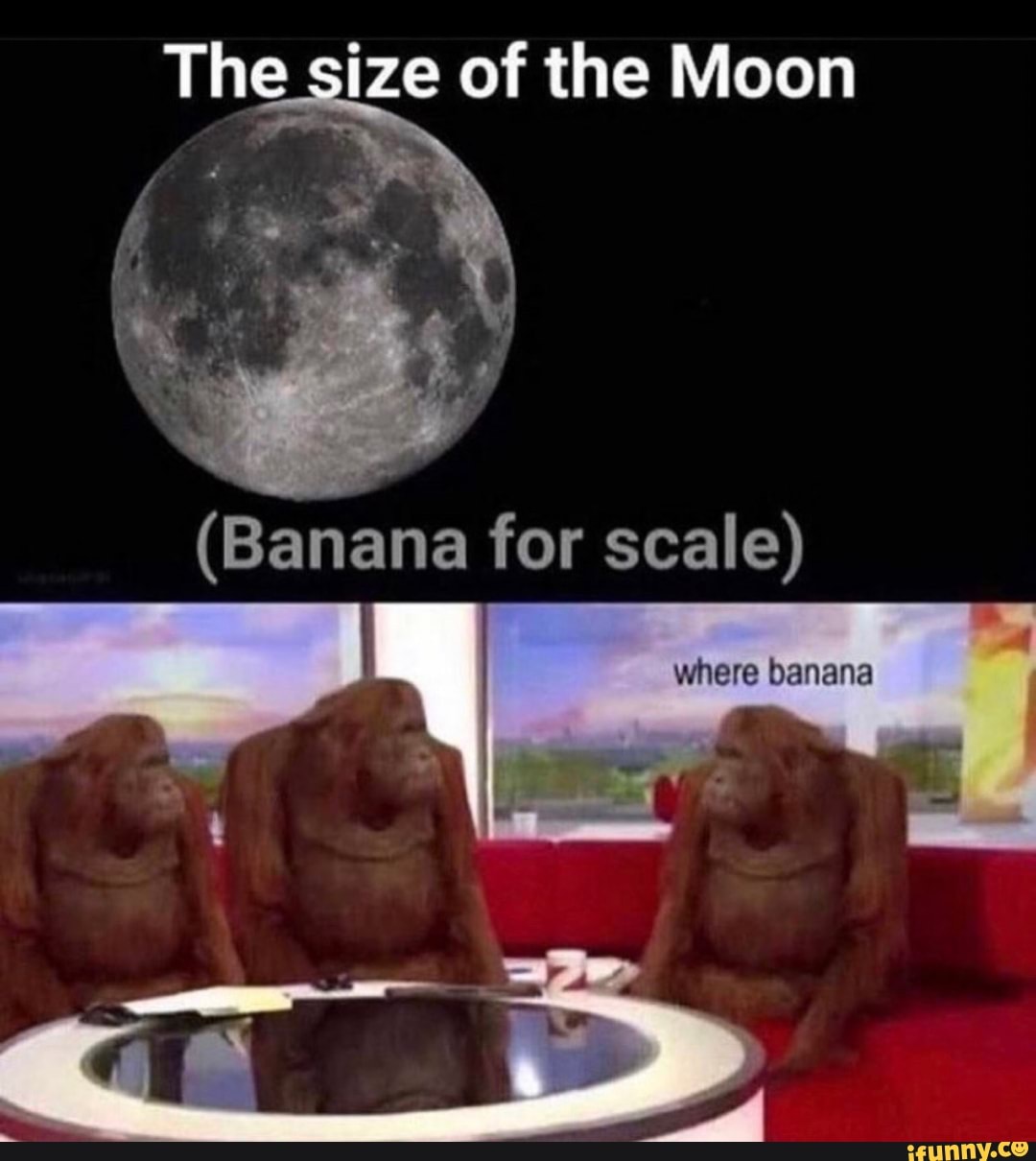The size of the Moon (Banana for scale) I where banana - iFunny