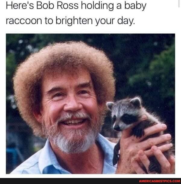 Here's Bob Ross holding a baby raccoon to brighten your day.