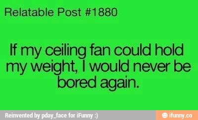 Relatable Post 10 Rf My Ceiling Fan Could Hold My Weight I Would Never Be Bored Again