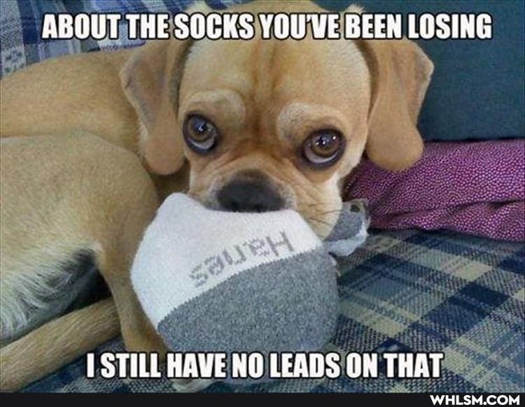 ABOUT THE SOCKS YOU UE BEEN LOSING
LSTILL HAYE LEADS ON THAT