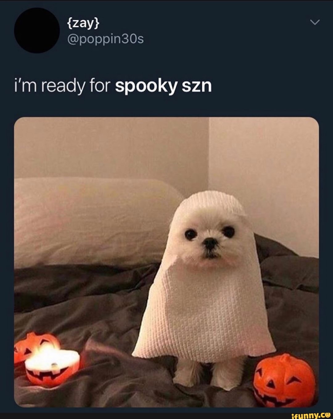 i'm ready for spooky szn
