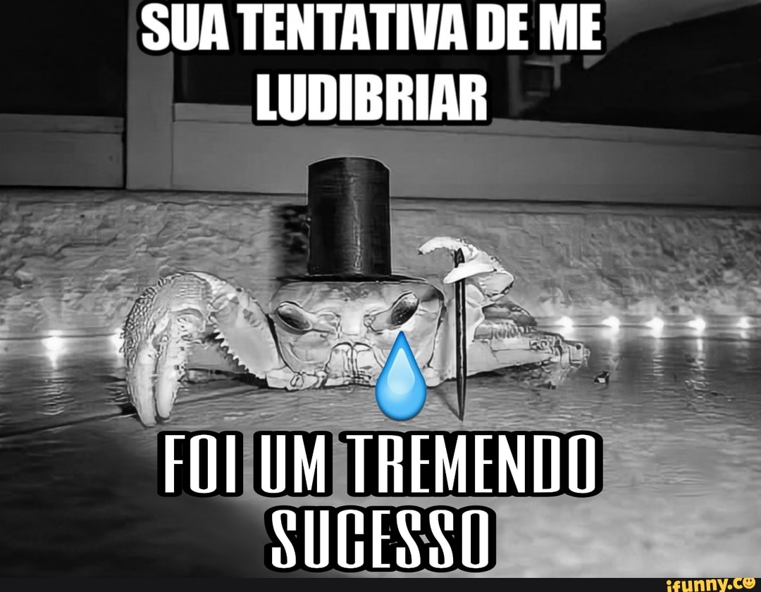 SUA TENTATIVA DE ME LUDIBRIAR
FOL UM TREMENTO SUGESSO
