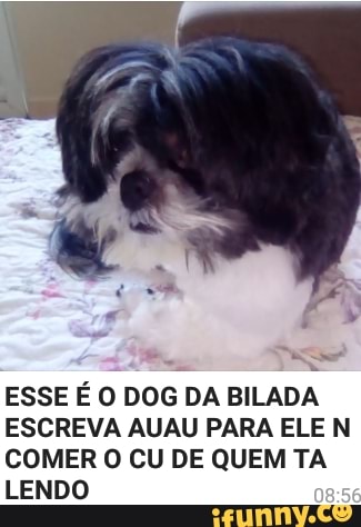 ESSE É O DOG DA BILADA
ESCREVA AUAU PARA ELE N
COMER O CU DE QUEM TA
LENDO