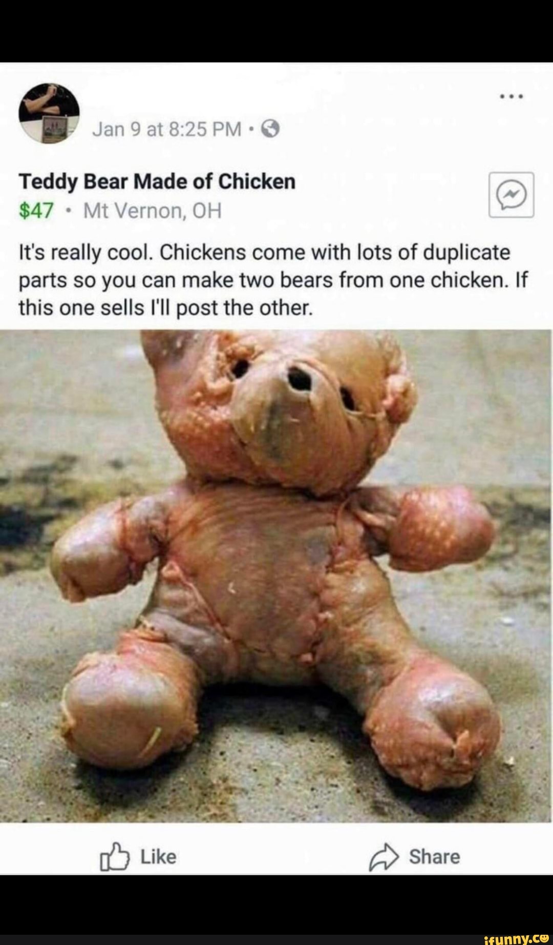 teddy chicken
