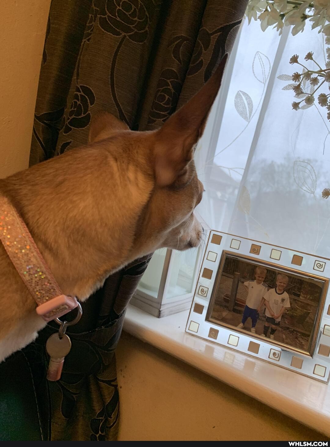 waiting, dad, come, home, work, knows, way, matt