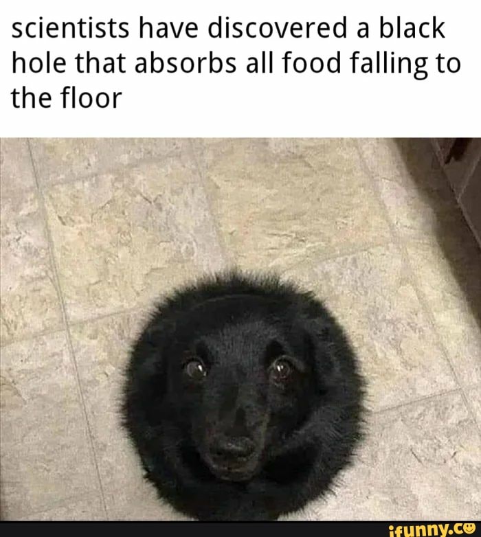 scientists have discovered a black
hole that absorbs all food falling to
the floor