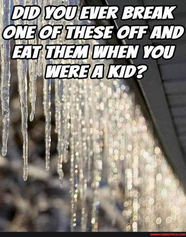 DID EVER BREAK ONE OF THESE OFF AND FAT THEM: WHEN YOU WERE A KID?