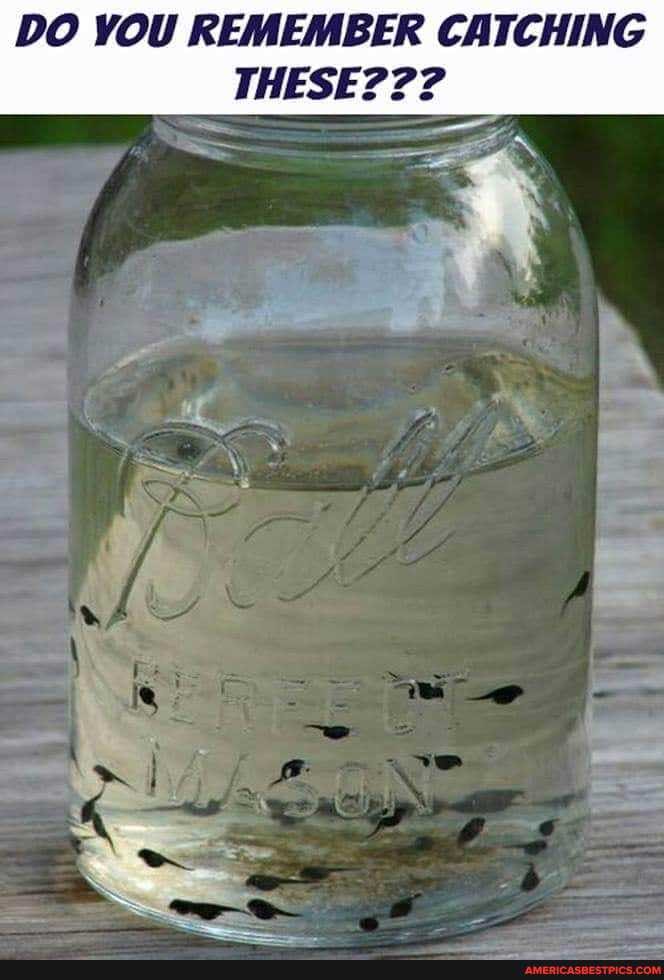 DO YOU REMEMBER CATCHING THESE???