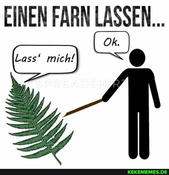 EINEN FARN LASSEN...
