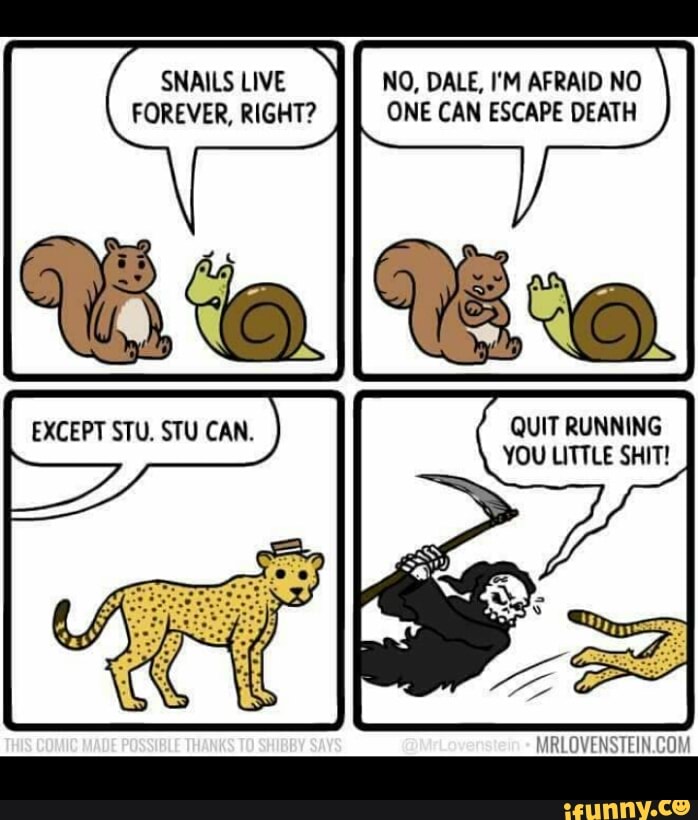 Snails Live N0 Dale I M Afraid No Forever Right One Can Escape Death Quit Running You Little Shit Ifunny