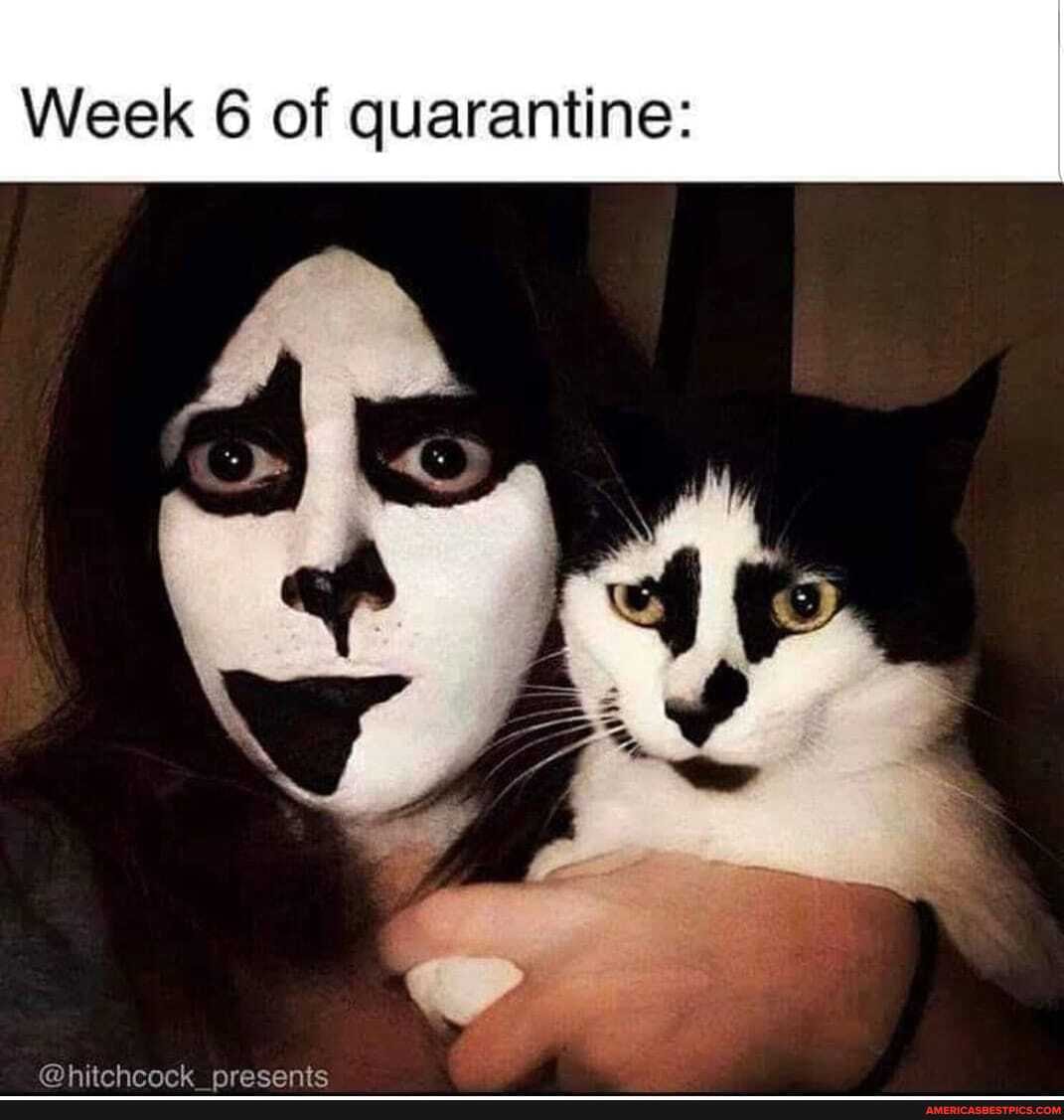 Week 6 of quarantine: