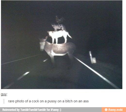 rare photo of a cock on a pussy on a bitch on an a: