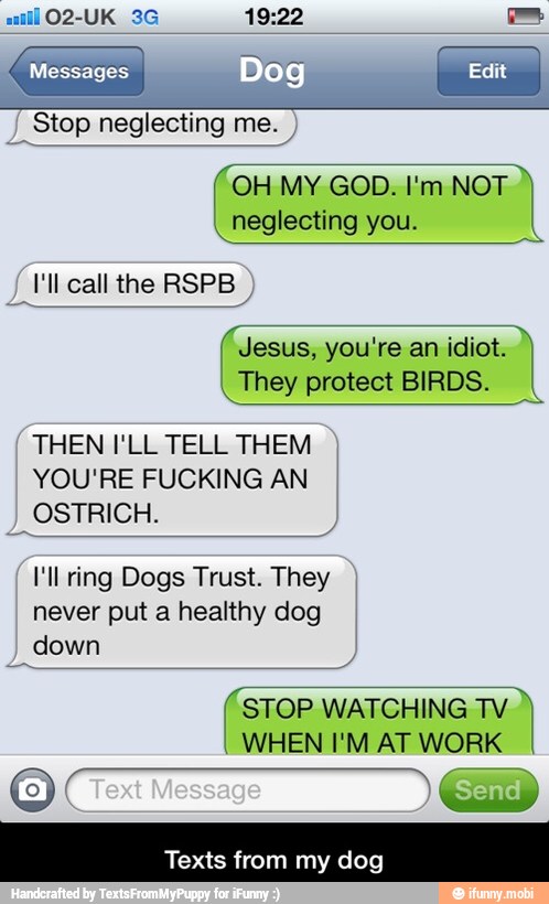_Stop neglecting me.
J
Mil call the RSPB
Jesus, you're an idiot.
(They protect BIRDS.
q
THEN I'LL TELL THEM
YOU'RE FUCKING AN
I
OSTRICH.
I'll ring Dogs Trust. They
never put a healthy dog
I
down
STOP WATCHING o
Texts from my dog - Texts from my dog