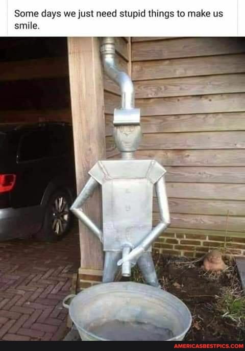 Some days we just need stupid things to make us smile.