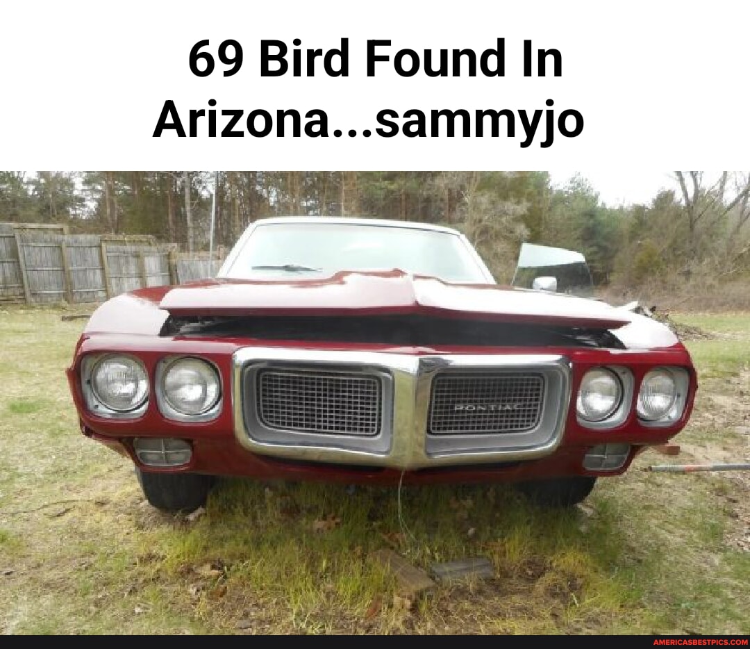 69 Bird Found In Arizona...sammyjo - America’s best pics and videos