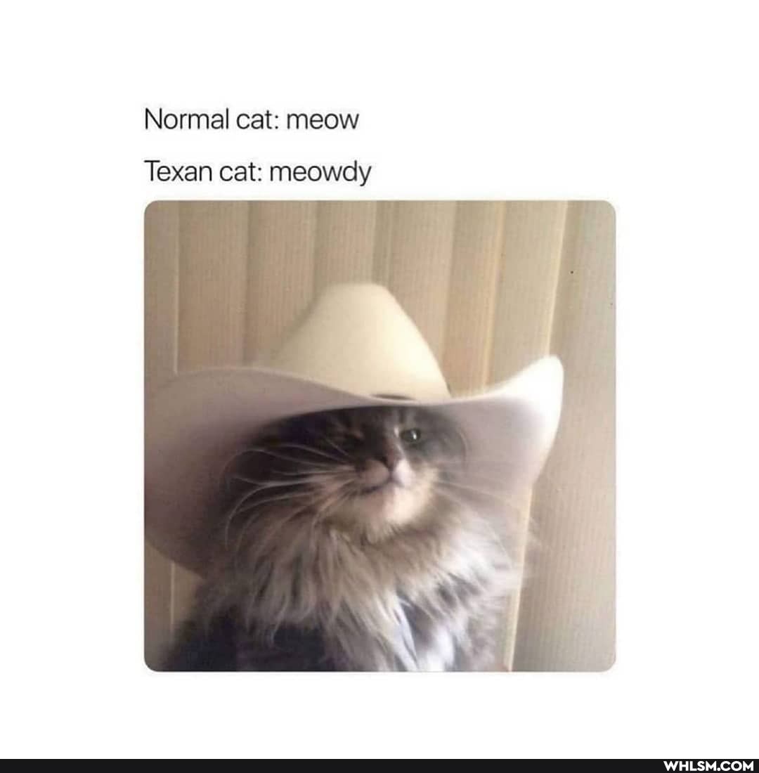 Normal cat: meow
Texan cat: meowdy ii
