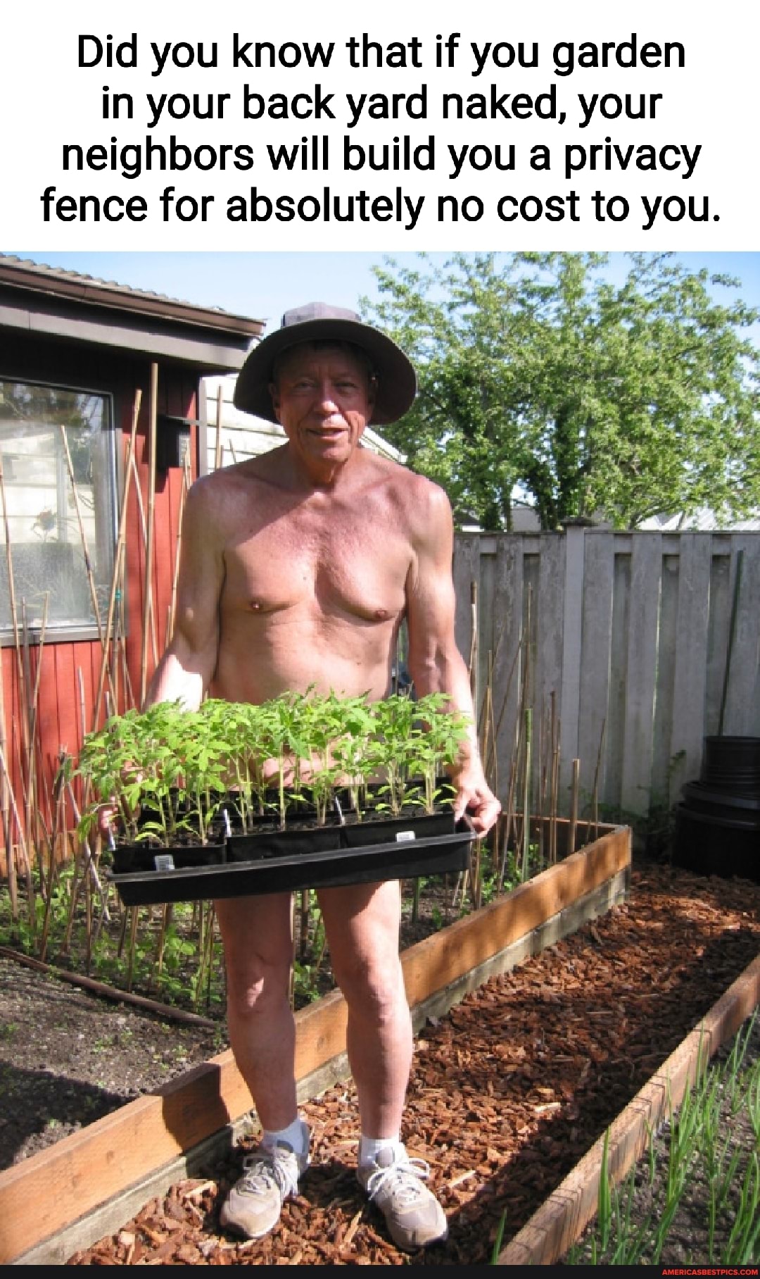 Did You Know That If You Garden In Your Back Yard Naked Your Neighbors Will Build You A Privacy