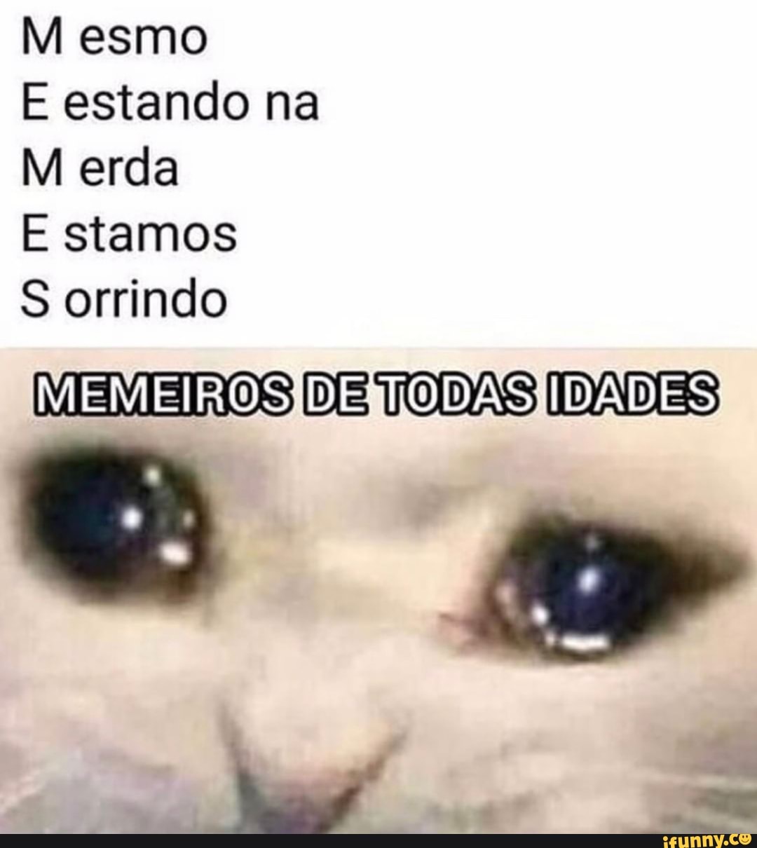 M esmo
E estando na
M erda
E stamos
S orrindo
MEMETROS DE TODAS IDADIES