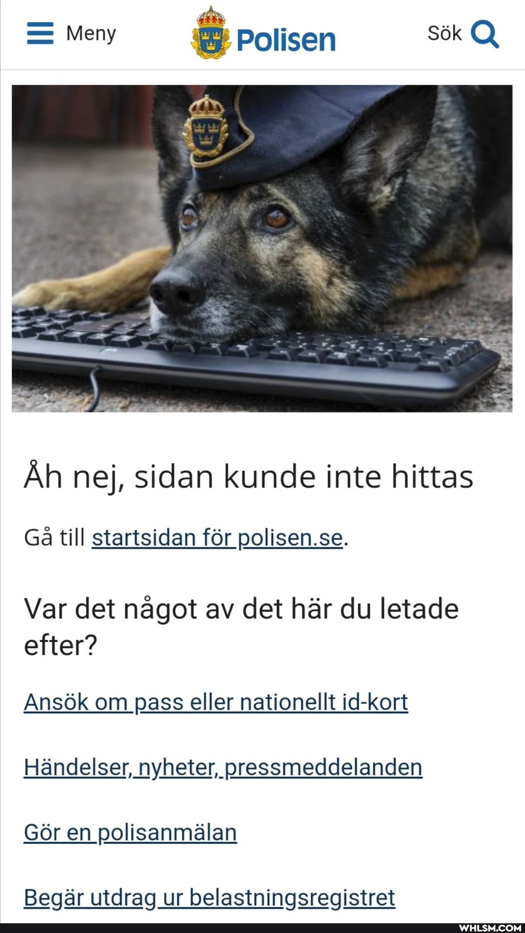 Ah nej, sidan kunde inte hittas
Ga till startsidan for polisen.se.
efter?
Var det nagot av det har du letade
Ans6k om pass eller nationellt id-kort
Handelser, nyheter, pressmeddelanden
Gor en polisanmalan