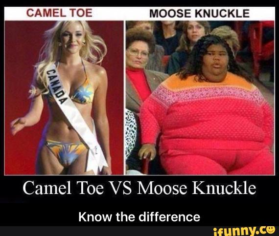 CAMEL TOE MOOSE KNUCKLE Camel Toe VS Moose Knuckle Know ...