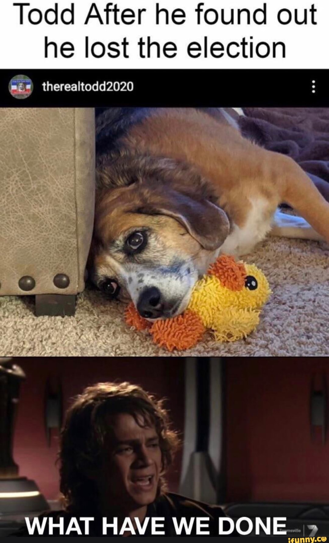 Todd After he found out he lost the election
therealtodd2020
WHAT HAVE WE DONE