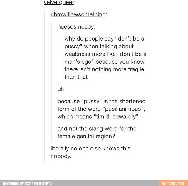 velvetque:
uhmwillowsomething:
huesosmccoy:
why do people say "don't be a
pussy" when talking about
weakness more like "don't be a
man's ego" because you know
there isn't nothing more fragile
than that
uh
because "pussy" is the shortened
form of the word "pusillanimous",
which means "timid, cowardly"
and not the slang word for the
female genital region?
literally no one else knows this.
nobody.