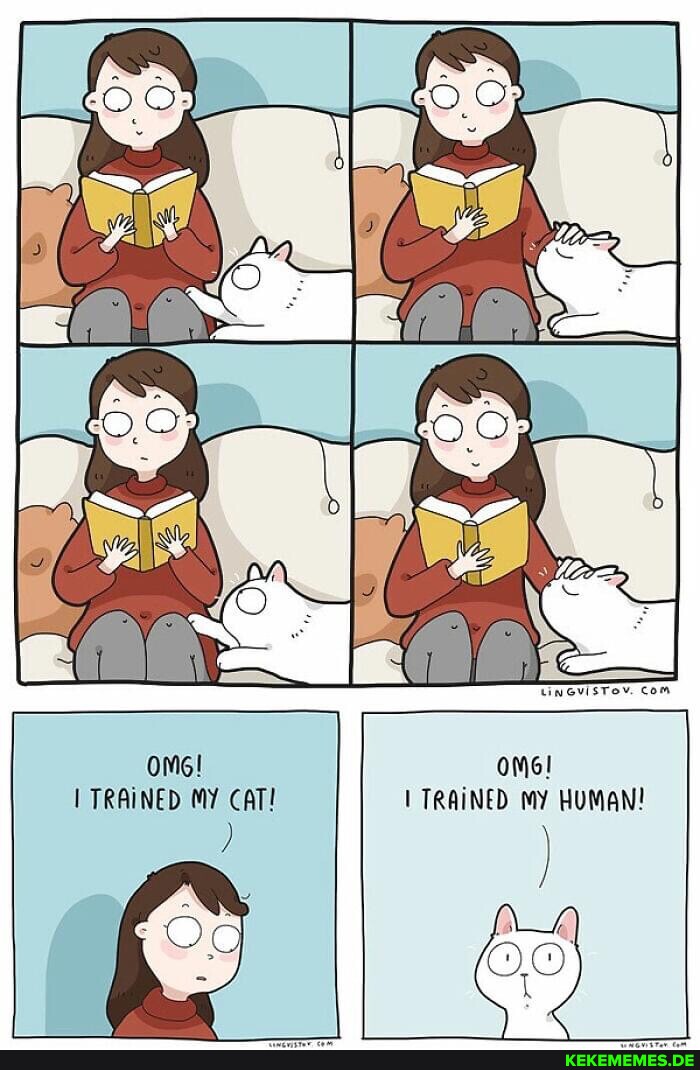 IS 2 w; A TRAINED my HUMAN! ome! I TRAINED MY CAT! SS I ee I
