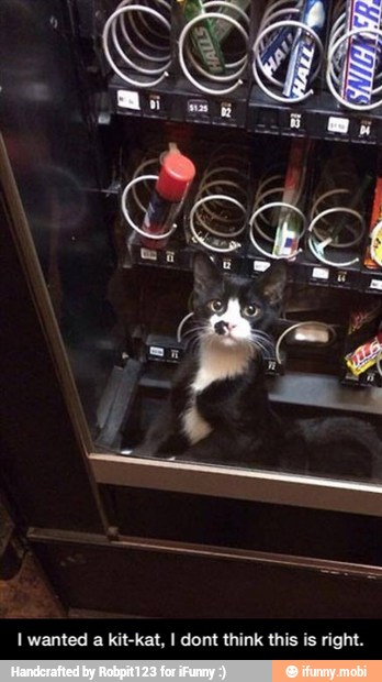 a - I wanted a kit-kat, I dont think this is right.