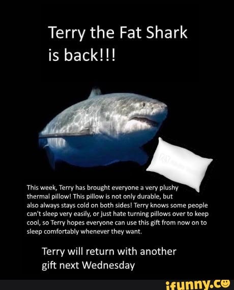 Terry the Fat Shark is back!!!
This week, Terry has brought everyone a very plushy
thermal pillow! This pillow is not only durable, but
also always stays cold on both sides! Terry knows some people can't sleep very easily, or just hate turning pillows over to keep cool, so Terry hopes everyone can use this gift from now on to sleep comfortably whenever they want.
Terry will return with another gift next Wednesday