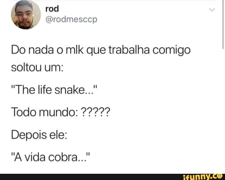 Do nada o mlk que trabalha comigo soltou um:
"The life snake..."
Depois ele:
"A vida cobra..."
