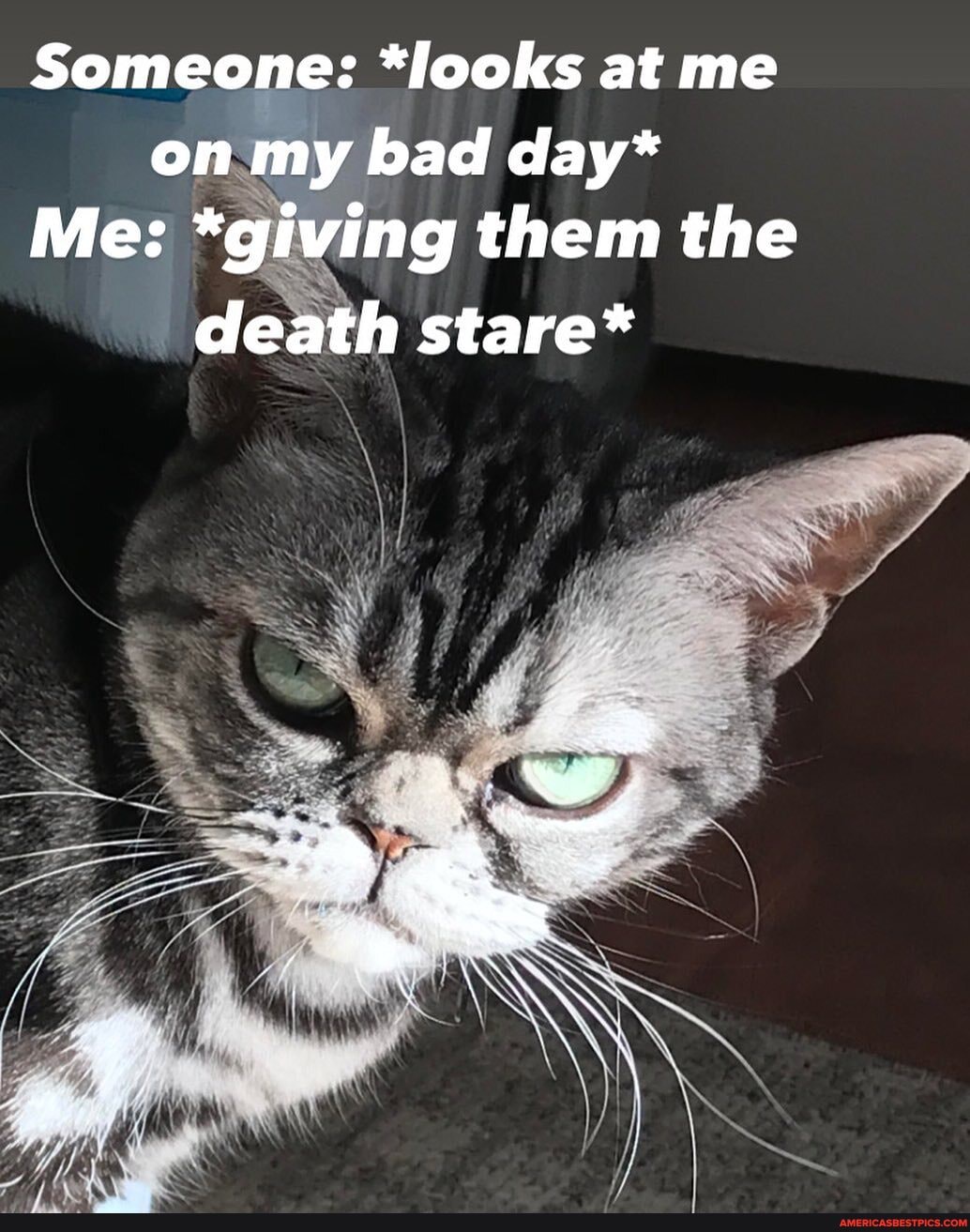 Someone: *looks at me on my bad day*
Me: *giving them the
death stare*