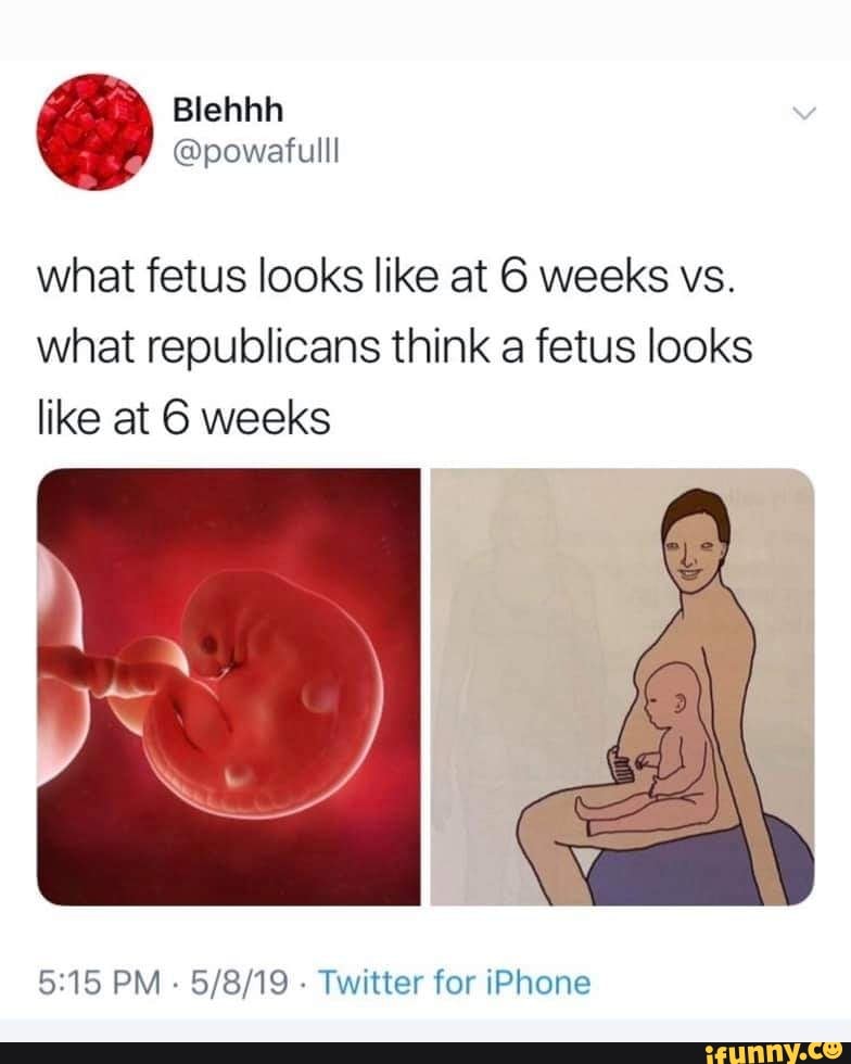 what-fetus-looks-like-at-6-weeks-vs-what-republicans-think-a-fetus