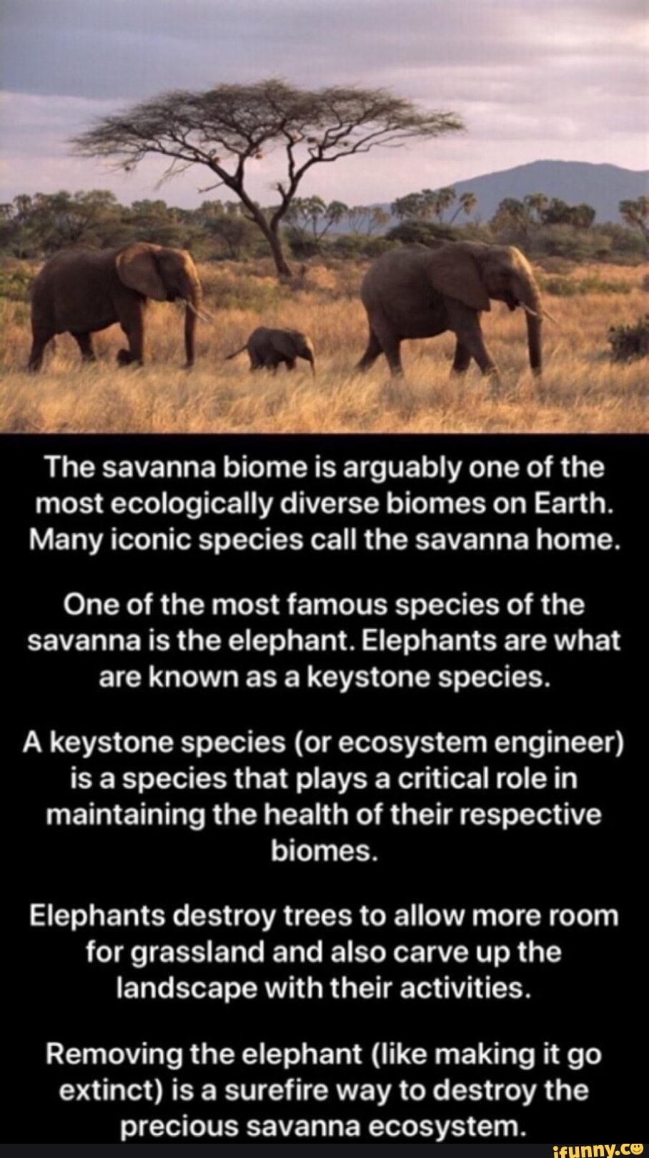 The savanna biome is arguably one of the most ecologically diverse