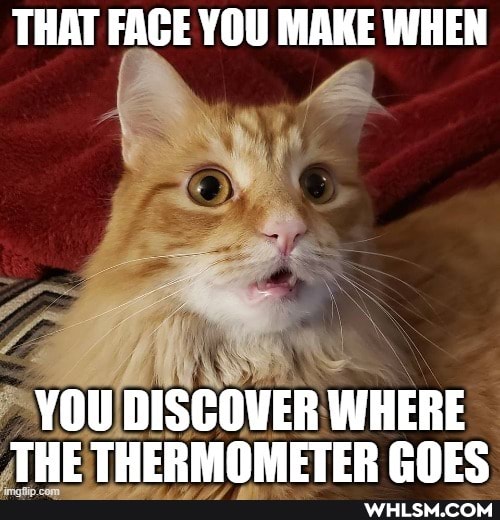 THAT FACE YOU MAKE WHEN
YOU DISCOVER WHERE THE THERMOMETER COES