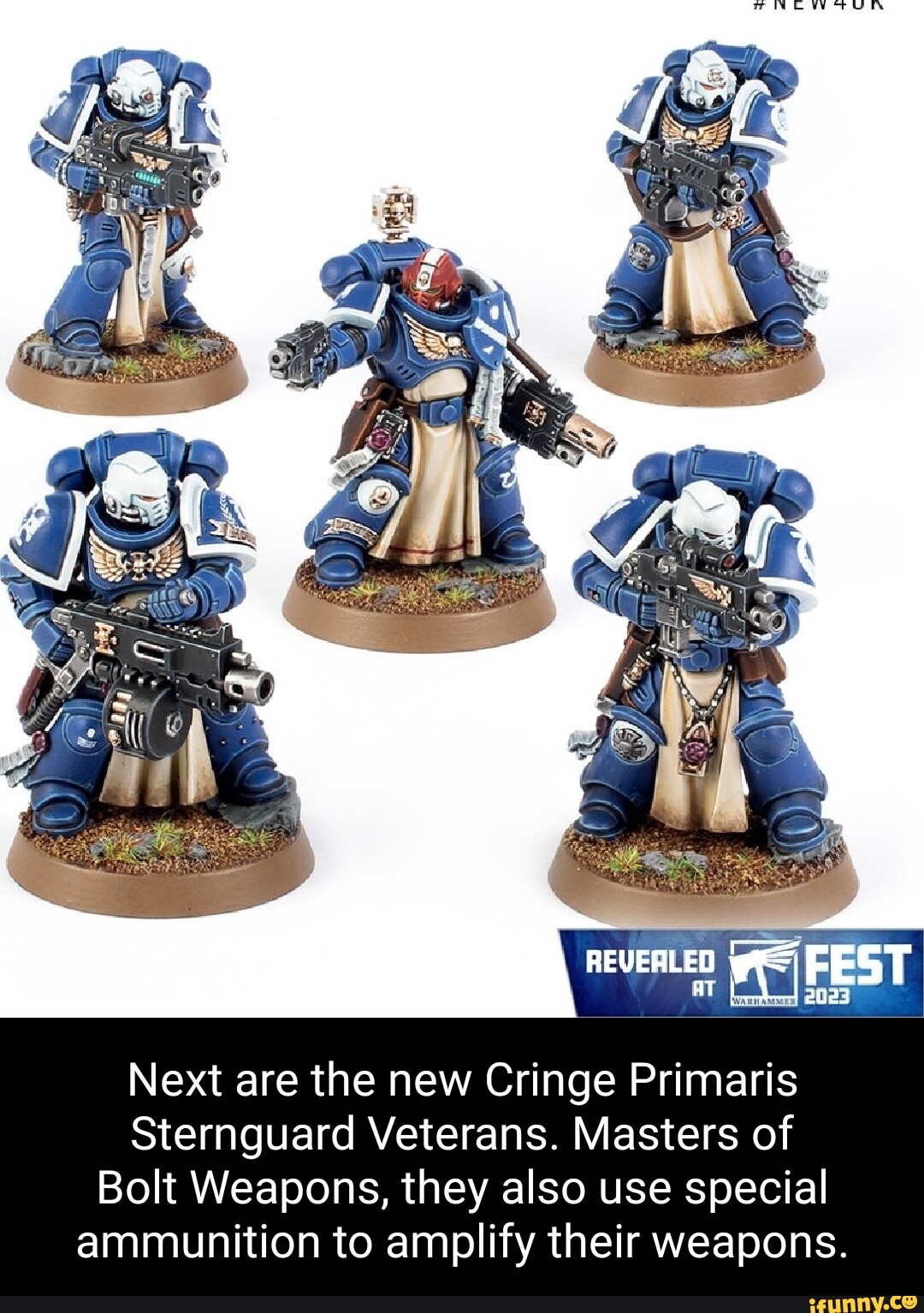 IN ar FEST Next are the new Cringe Primaris Sternguard Veterans