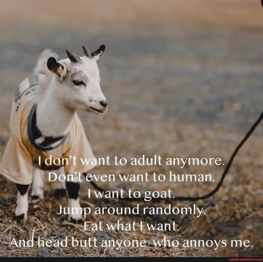 don't want to adult anymore.
Dorteven want to human.
to goat.
Jump around randomly.
Eat what want.
whie.annoys me.
