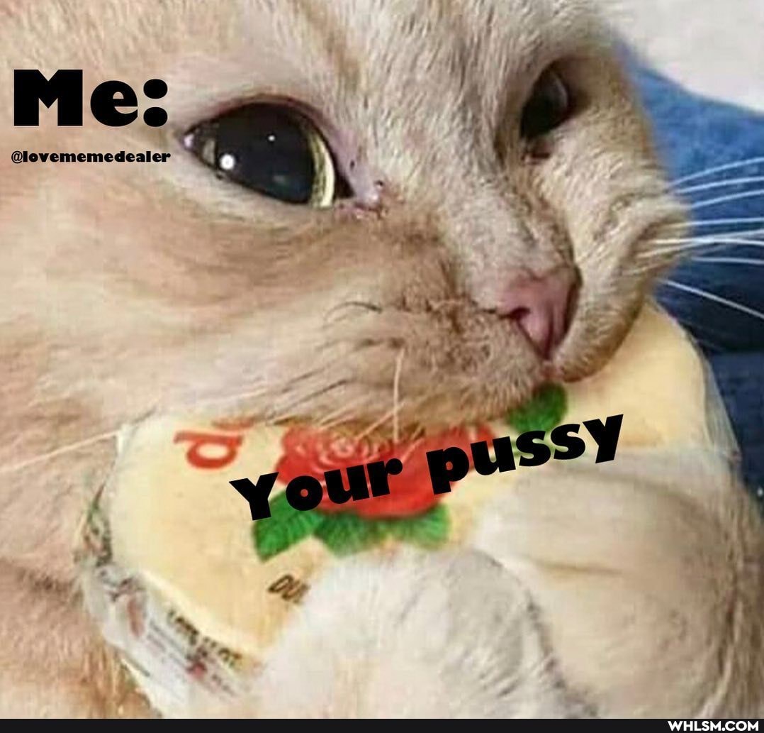 Me:
@lovememedealer