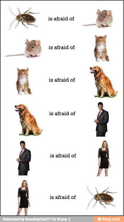 o is afraid of
is afraid of
is afraid of
is afraid of
is afraid of
Y is afraid of