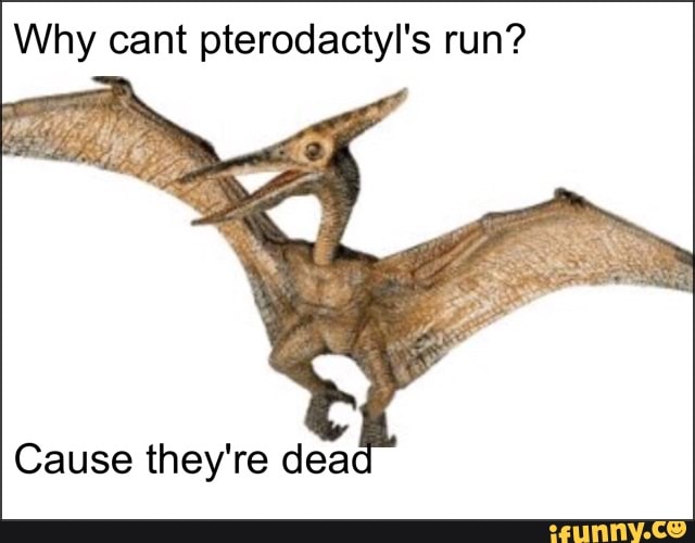 Pterodactyl Porn Gif