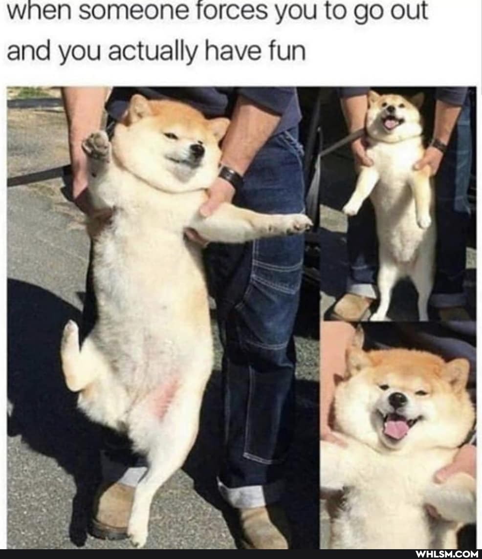 when someone forces you to go out
and you actually have fun