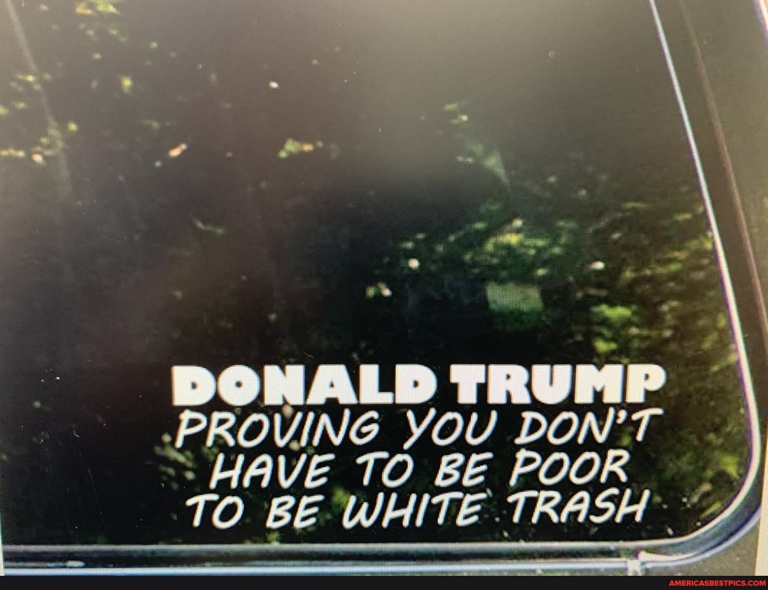 DONALD TRUMP
-PROVING YOU BE DON'T HAVE TO BE POOR TO BE WHITE .TRASH