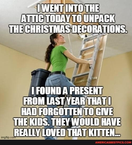 ~TWENT INTO THE ATTIC TODAY TO UNPACK THE CHRISTMAS DECORATIONS.
FOUND A PRESENT FROM LAST YEAR THAT HAD FORGOTTEN GIVE
THE KIDS. THEY WOULD RAVE REAILY INUED TOAT RITTEN