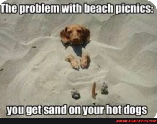 The problem with beach picnics: on your hotdogs:
