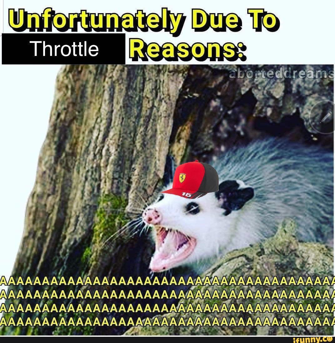 Naaaaaaaaaaaaaaaaaaaa memes. Best Collection of funny ...