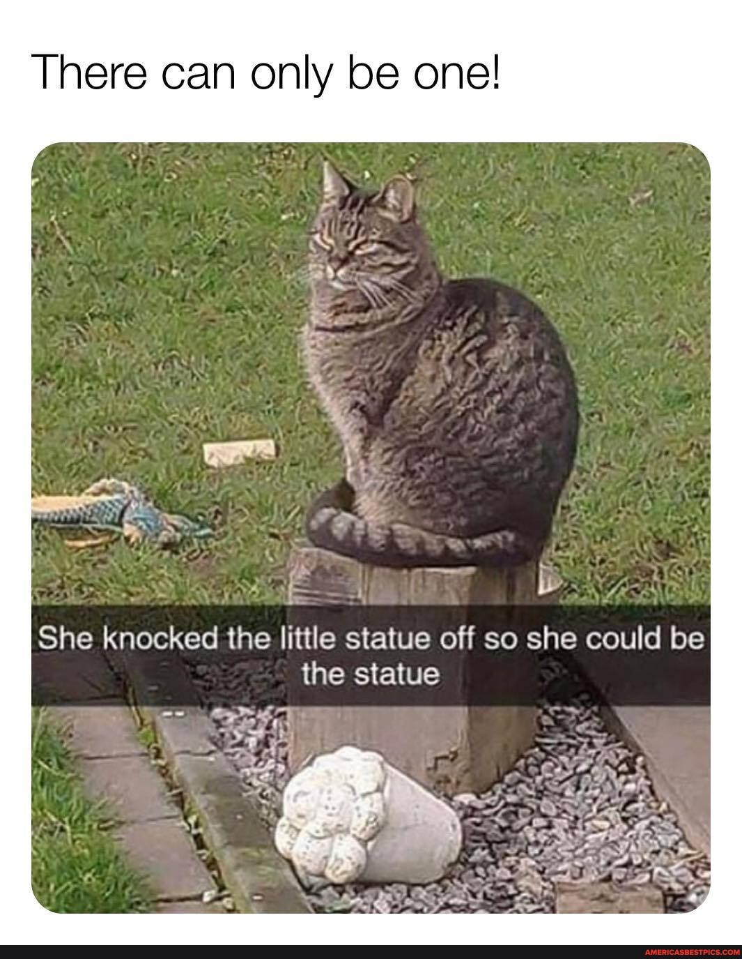 There can only be one!
She knocked the little statue off so she could be the statue