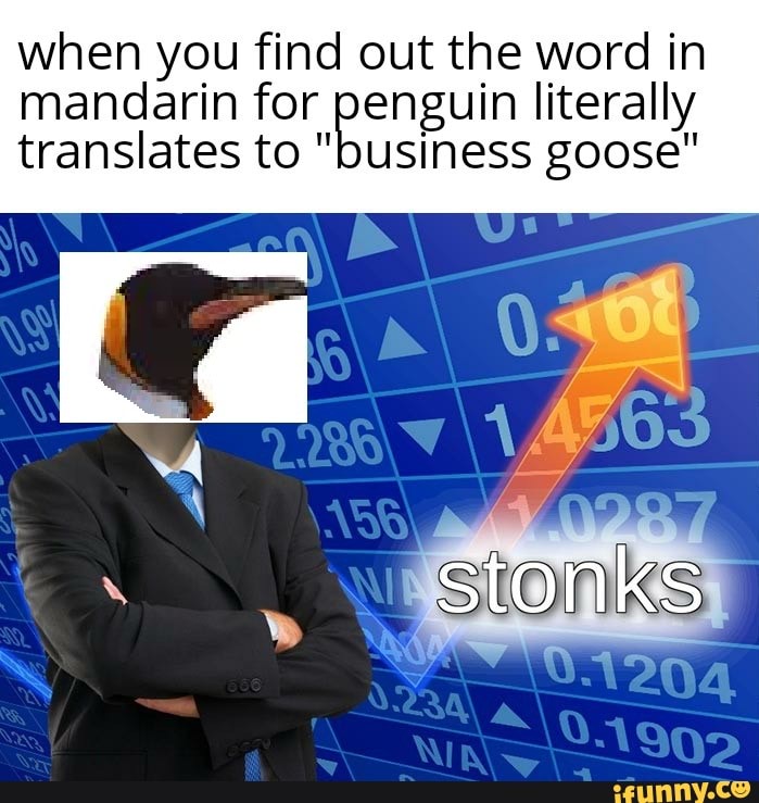 When you find out the word in mandarin for penguin literally translates