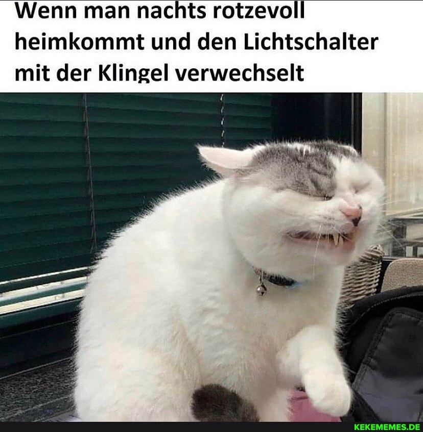 Wenn man nachts rotzevoll
heimkommt und den Lichtschalter mit der Klingel verwechselt
